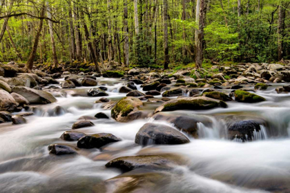 Picture of ROCKY FLOW