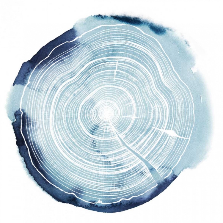 Picture of TREE RING OVERLAY III