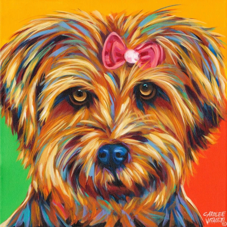 Picture of SWEET YORKIE I