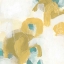 Picture of PIVOT II