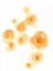 Picture of FALLING BLOSSOMS II