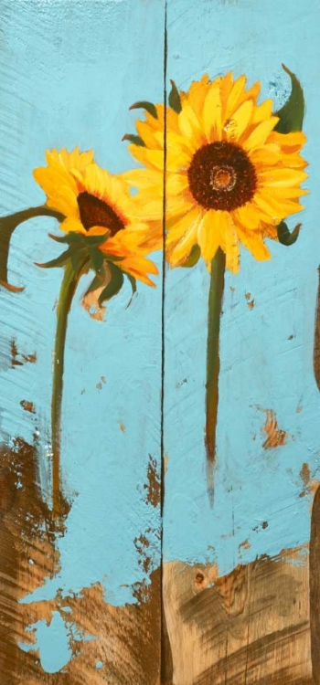 Picture of SUNFLOWERS ON WOOD III