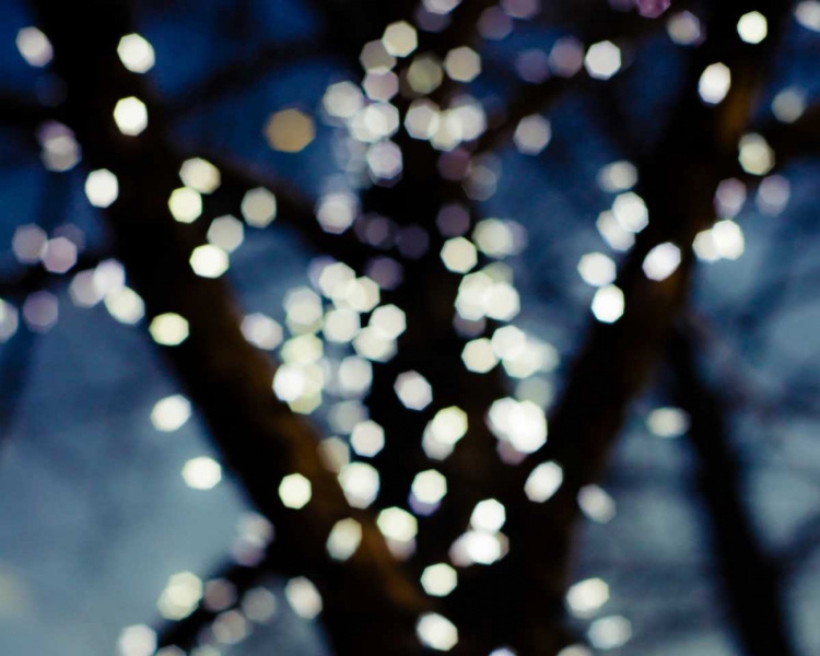 Picture of BOKEH BLUE I