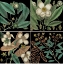 Picture of GRAPHIC BOTANICAL GRID V