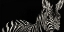 Picture of SCRATCHBOARD INCLINE
