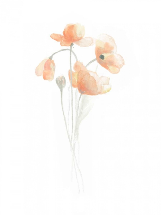 Picture of DELICATE BOUQUET III