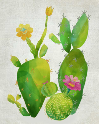 Picture of CACTI COLLECTION II