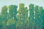 Picture of FOREST GREEN I