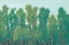 Picture of FOREST GREEN II