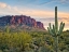 Picture of CACTI VIEW II