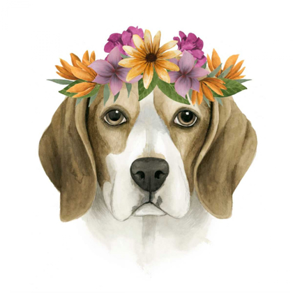 Picture of FLOWER CROWN PUP IV