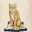 Picture of LADY CAT IV