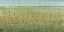 Picture of EDGE OF THE FIELD I