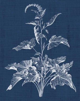 Picture of FOLIAGE CHINTZ II