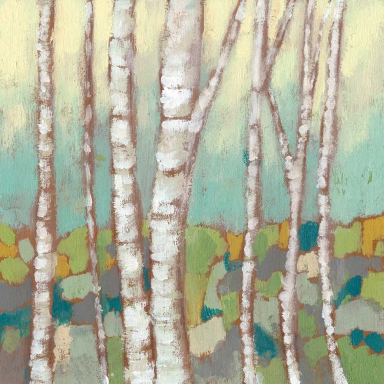 Picture of KALEIDOSCOPE BIRCHES II