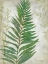 Picture of FROND I