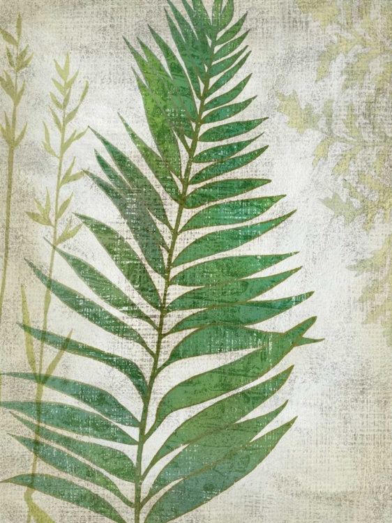 Picture of FROND I