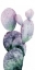 Picture of PURPLE CACTUS I