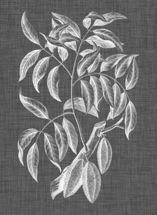 Picture of GRAPHIC FOLIAGE III