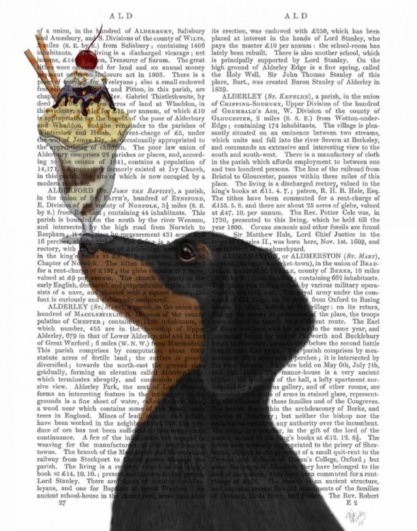 Picture of DACHSHUND, BLACK AND TAN, ICE CREAM