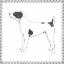 Picture of BEST IN SHOW VI