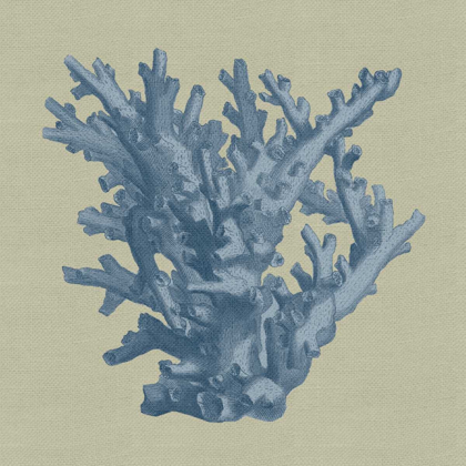 Picture of CHAMBRAY CORAL I