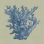 Picture of CHAMBRAY CORAL I