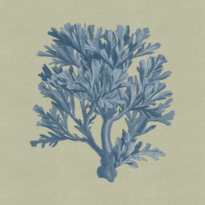 Picture of CHAMBRAY CORAL IV