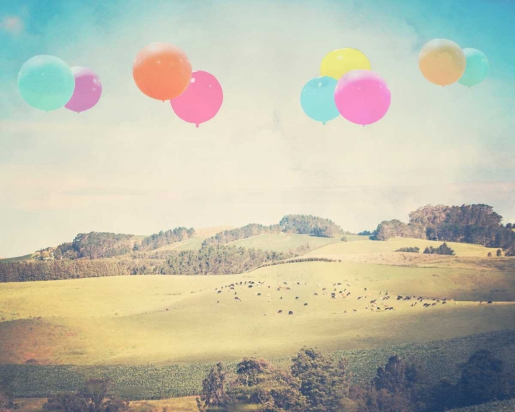 Picture of BALLOONS OVER THE COUNTRY