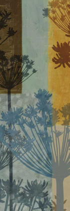 Picture of SUMMER BREEZE B
