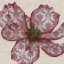 Picture of PATTEREND RED PETALS I