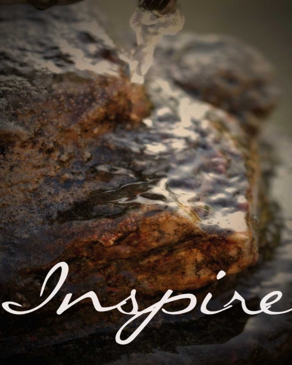 Picture of INSPIRE ROCKS