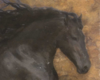 Picture of BLACK MARE