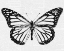 Picture of BUTTERFLY 2