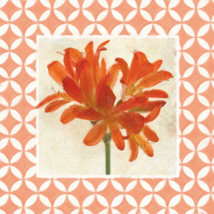 Picture of MOROCCAN ORANGE FLORAL 2