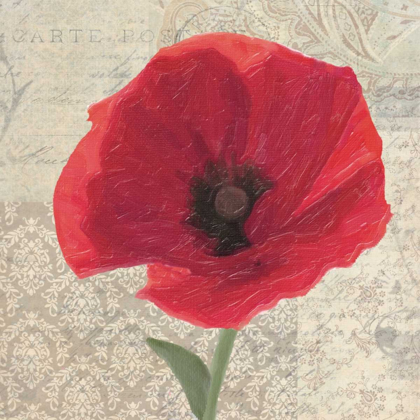 Picture of RED POPPY I