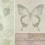Picture of LIVE LAUGH LOVE BUTTERFLY