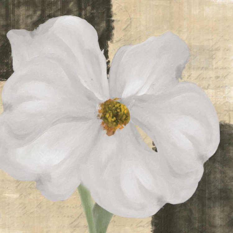 Picture of WHITE FLORAL I