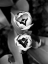 Picture of FLORAL PORTRAIT IV