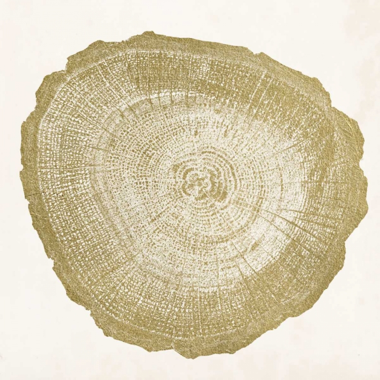 Picture of TREE RING IV