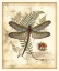 Picture of REGAL DRAGONFLY I