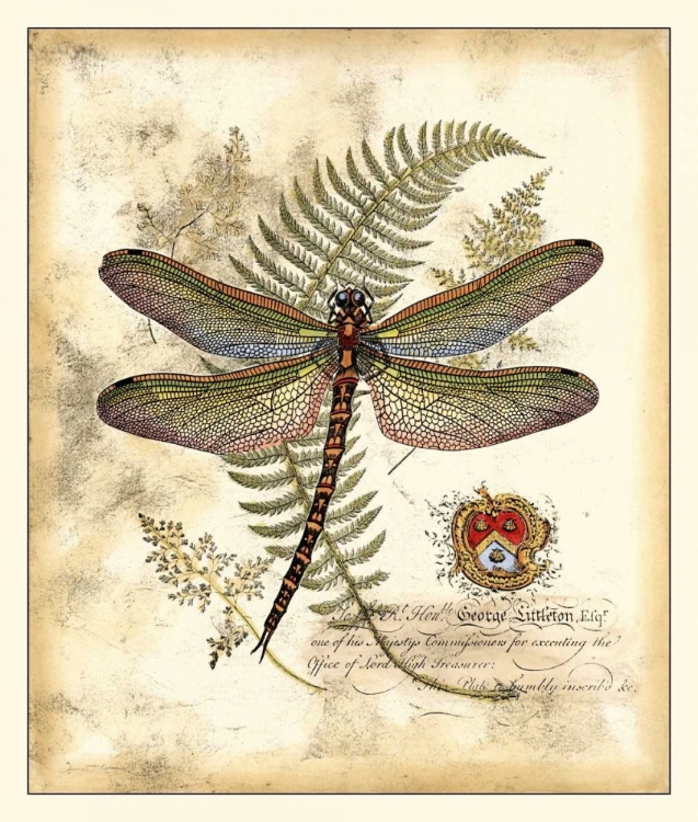 Picture of REGAL DRAGONFLY I