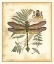 Picture of REGAL DRAGONFLY III