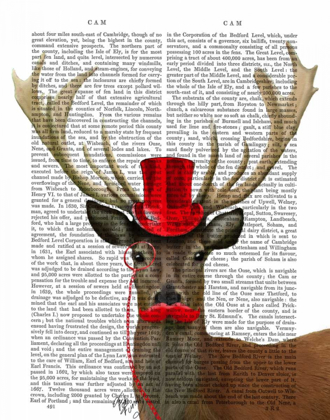 Picture of DEER WITH RED TOP HAT AND MOUSTACHE