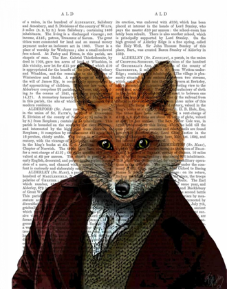 Picture of FOX PORTRAIT 2