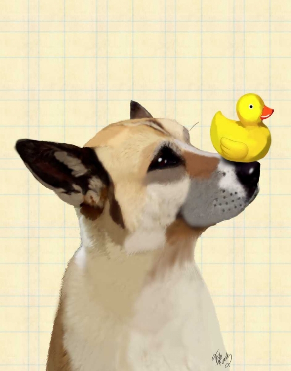Picture of DOG AND DUCK
