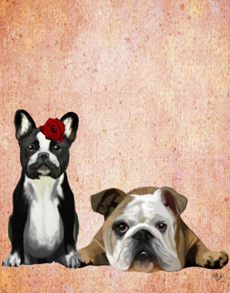 Picture of FRENCH BULLDOG AND ENGLISH BULLDOG