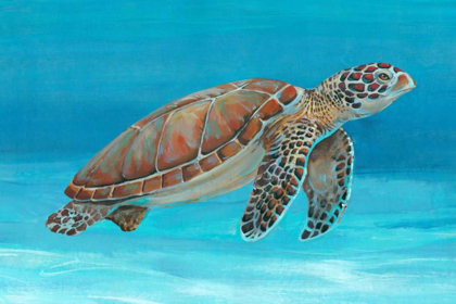 Picture of OCEAN SEA TURTLE I