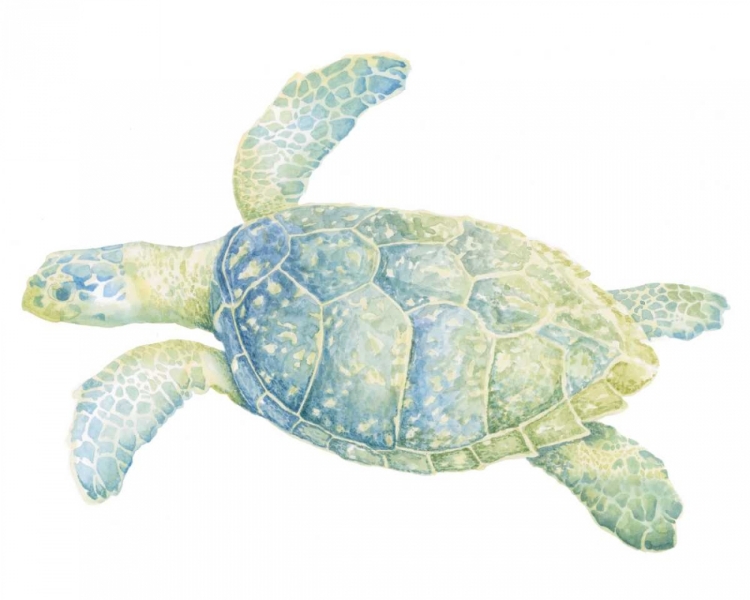 Picture of TRANQUIL SEA TURTLE II