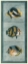 Picture of TROPICAL FISH TRIO II